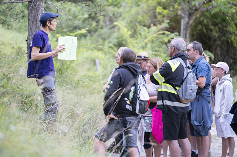 Balade guidée lavande avec la Distillerie des 4 Vallées