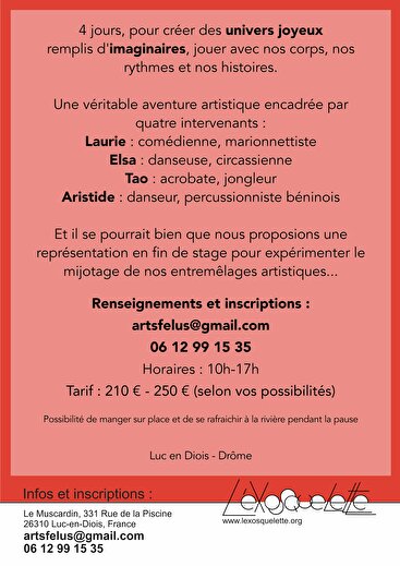 Activité de loisir - Stage - Cirque et théâtre pour les 8-16 ans