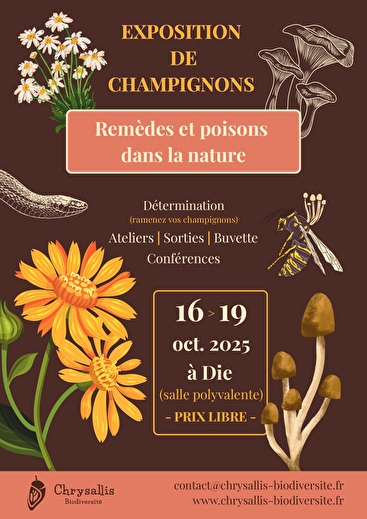 Salon d'automne  - Exposition de champignons