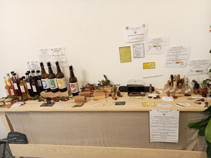 Boisson Kombuchia et CBD