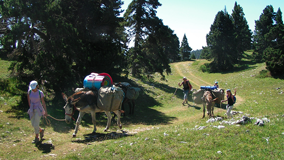 De crêtes en plateaux avec des ânes