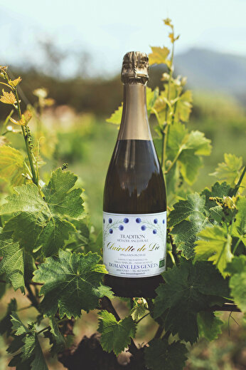 Domaine les Genêts - Cave Thierry Marcel