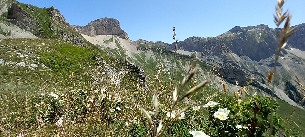 Christophe Pelet - Accompagnateur en montagne