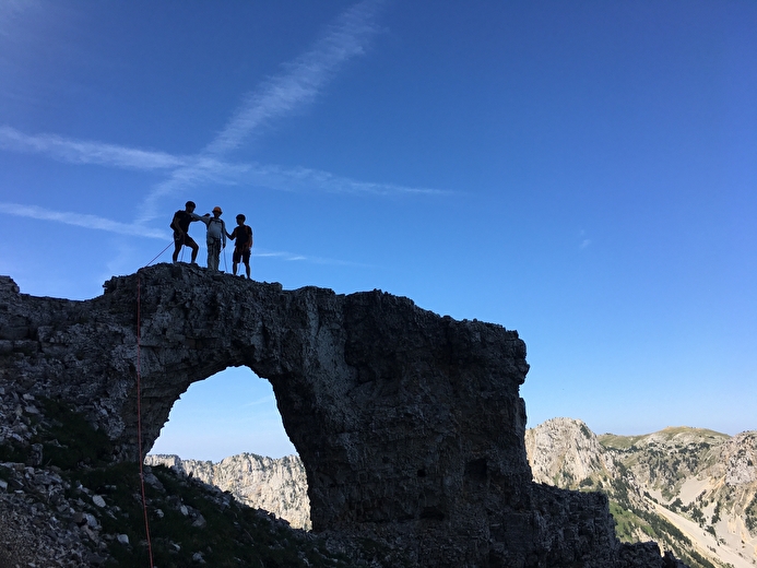 Sur l'arche