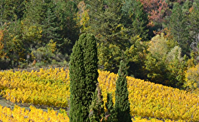 Cimetières familiaux