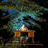 Déambulation de nuit en forêt - Croire aux fauves - Les Arts Oseurs