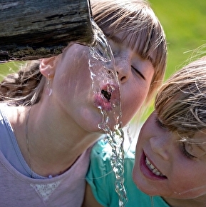 Petits Nomades en Diois : itinérance avec des ânes pour les familles