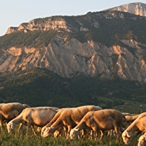 Ferme de Messagendre