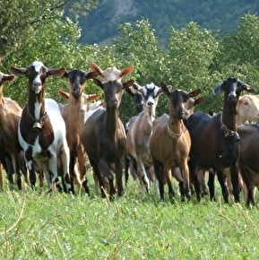 Ferme de Brette Vieille