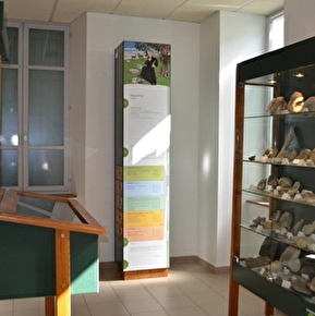 Fossiles de l'Abbé Froment - Exposition
