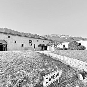 Caveau