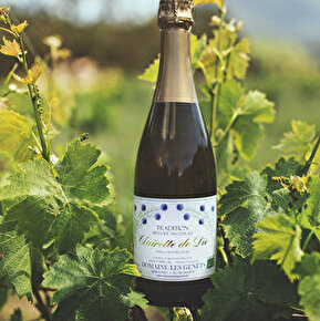 Domaine les Genêts - Cave Thierry Marcel