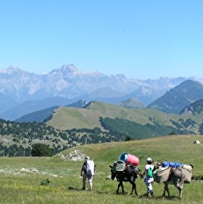 Tour du Haut Diois en liberté avec des ânes