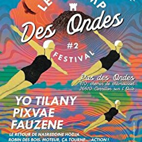 Festival Le Champ des Ondes