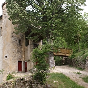 Gîte forestier Grand Viopis