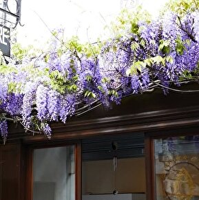 Stage - Taille de pierres