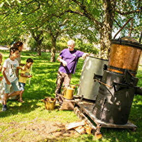 Atelier de distillation à l’ancienne de la lavande au pied du Vercors