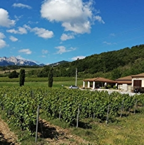 Cave Poulet et Fils (winery)