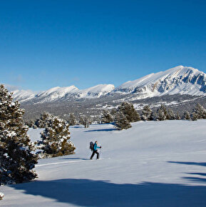 Dans la réserve des Hauts Plateaux du Vercors avec le Grand Veymont