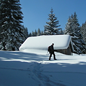 Week-end trappeurs dans la réserve naturelle des hauts plateaux du Vercors