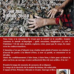 Stage - Création sauvage