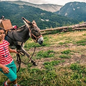Location d'ânes avec Passe-Mont'Âne