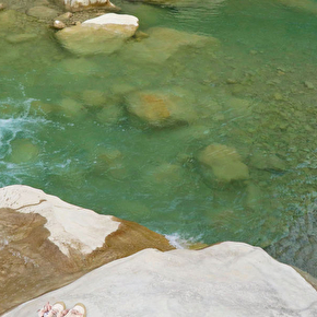 Vallée de la Roanne