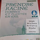 Exposition Prendre Racine hommes et plantes en exil 