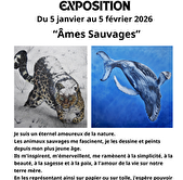 Exposition -Âmes Sauvages - Julien Jerusalmi