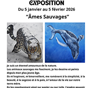 Exposition -Âmes Sauvages - Julien Jerusalmi