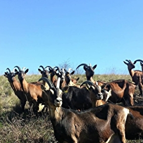 La Ferme de la Tournelle