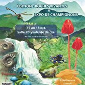 Salon d'automne - Champignons et Roches vivantes
