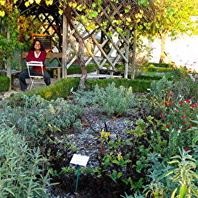 Découverte du jardin botanique de l'Ancien Monastère de Sainte-Croix avec Lise-May